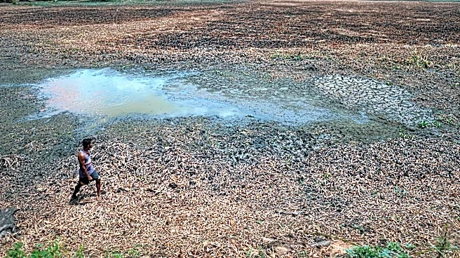 In drought-stricken Sri Lanka, farmers watch wells empty and wildlife crowd shrinking water holes