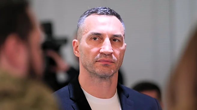 Hayden Panettiere's ex Wladimir Klitschko gets legal status to protect their daughter's inheritance