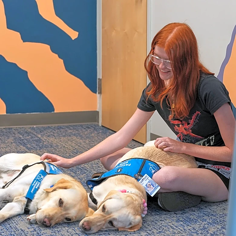 Therapy dogs bring calm and joy to students following shooting at Colorado high school