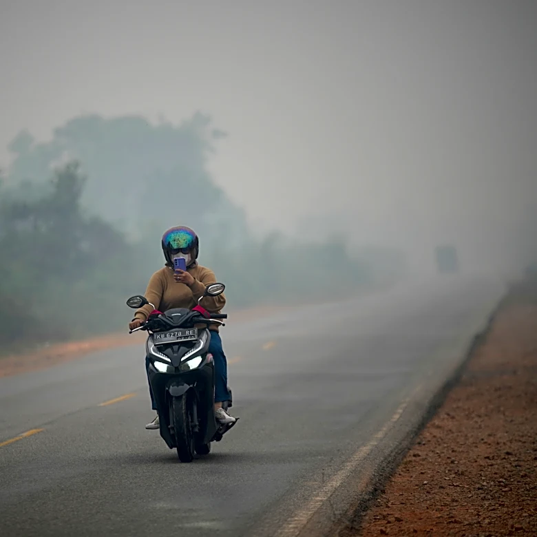 Wildfires threaten Indonesia's orangutans as rescuers find injured animals