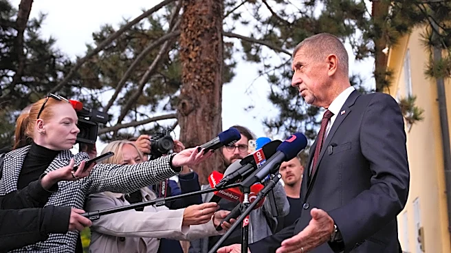 The ruling party of the populist Czech prime minister leads in 1st round of Senate election