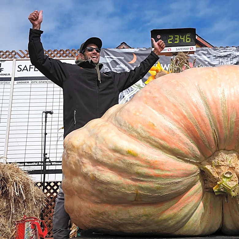 Giant pumpkins battle for heavyweight glory and the world record in California