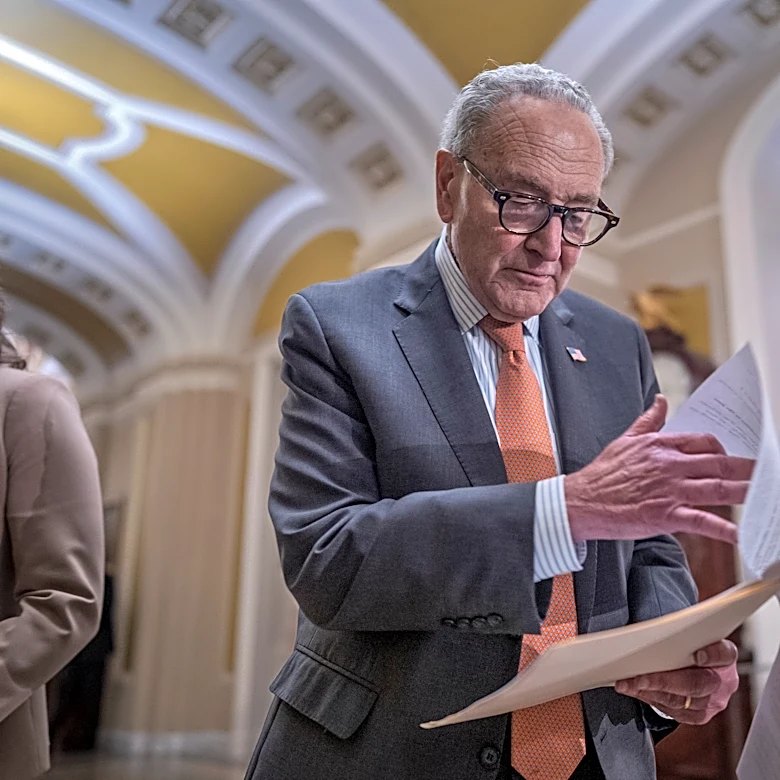 Chuck Schumer has broad support from his caucus, but midterms could decide his future as leader