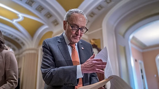 Chuck Schumer has broad support from his caucus, but midterms could decide his future as leader