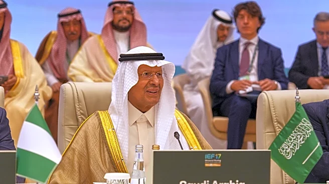 Saudis probe how defense systems failed to stop deadly Houthi attack on Riyadh airport