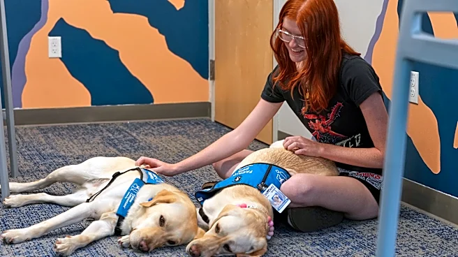Dogs bring calm and joy to students following shooting at Colorado high school