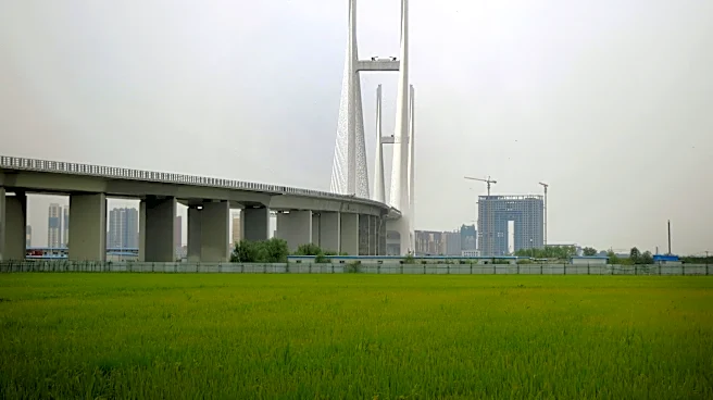 New bridge linking China and North Korea will open more than a decade late