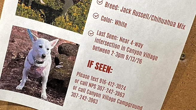 Luna, a small dog missing for over a month in Yellowstone, is reunited with her owners