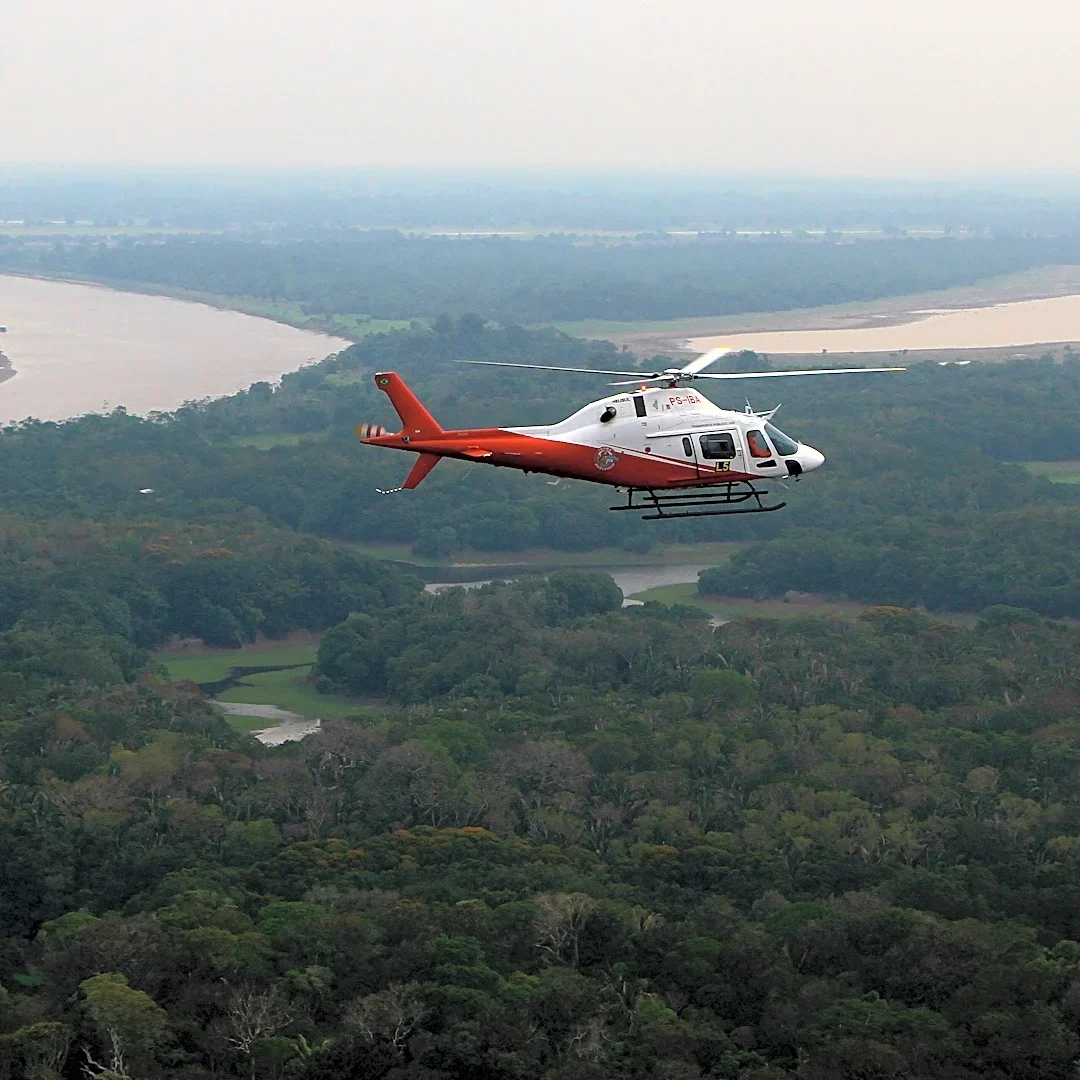 Brazil says Amazon deforestation fell to the lowest level since 1988