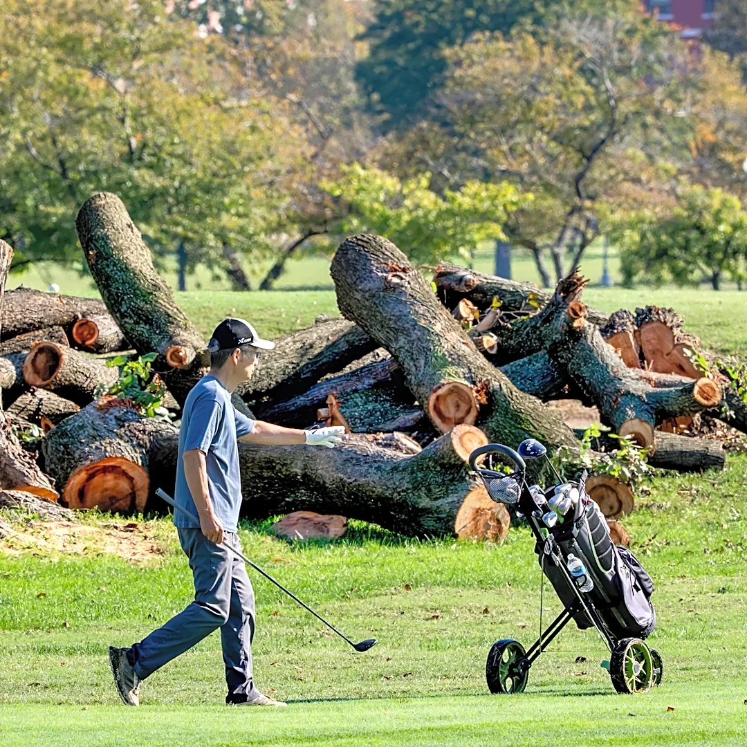 Trump says he will close historic DC golf course for 15 months of renovations
