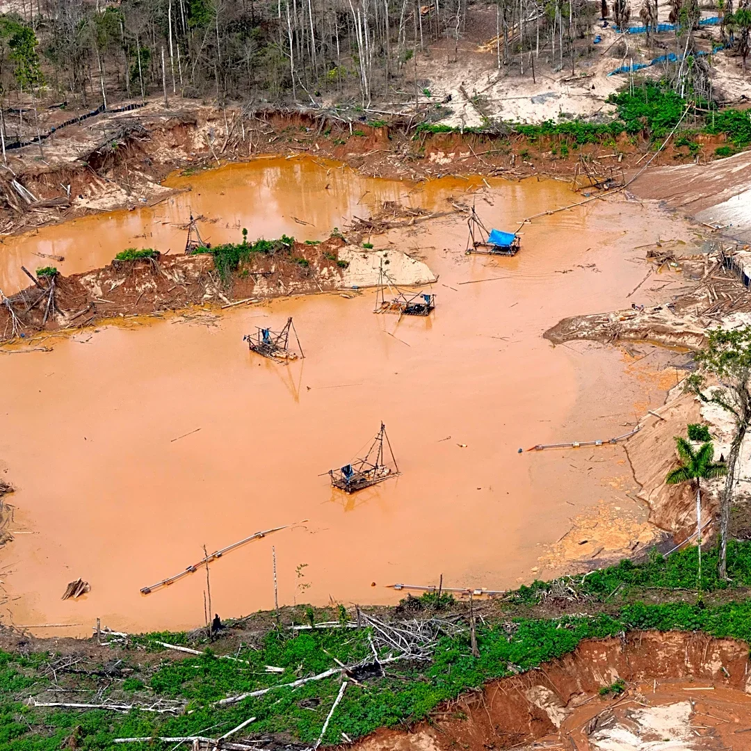 Human rights commission urges oversight of technology used in Latin American environmental crime