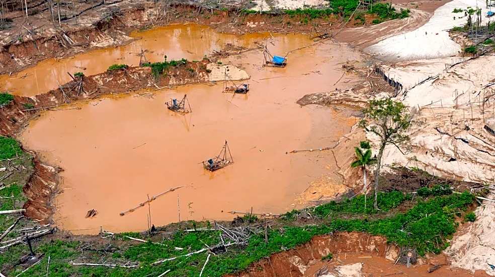 Human rights commission urges oversight of technology used in Latin American environmental crime