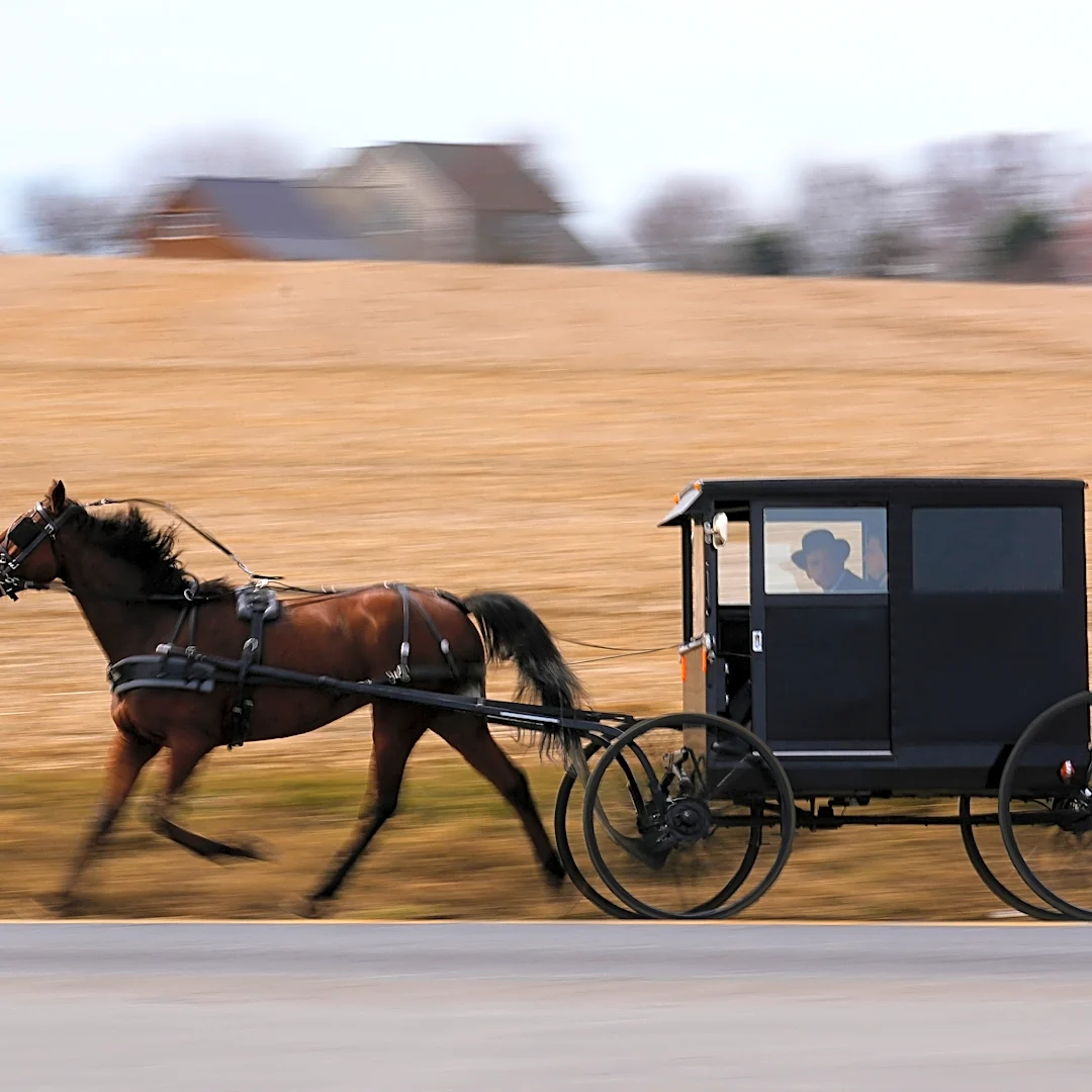 How an Orthodox Jewish scholar found an unexpected home among the Amish