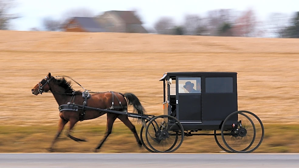 How an Orthodox Jewish scholar found an unexpected home among the Amish