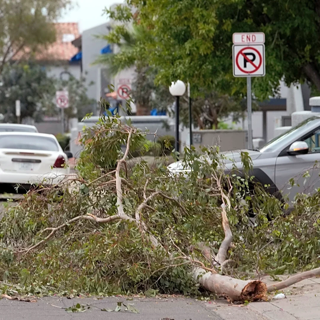Hail the size of golf balls pummel parts of Arizona as rare storm moves through the West