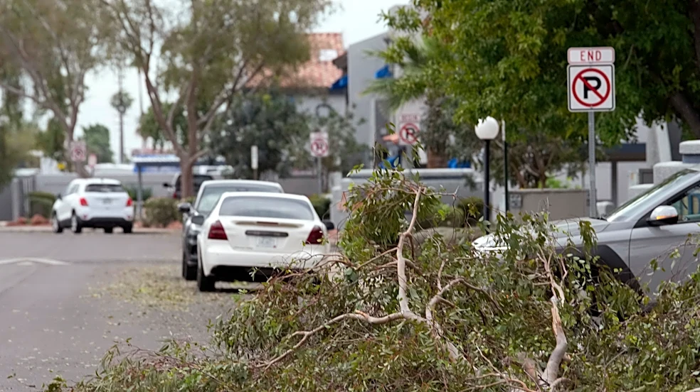 Hail the size of golf balls pummel parts of Arizona as rare storm moves through the West