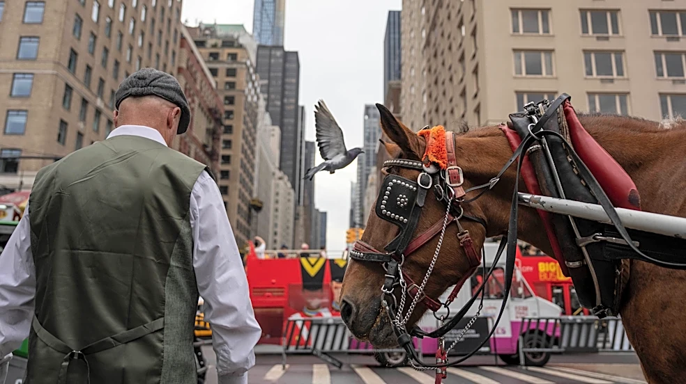 Facing a ban on horse-drawn carriages, Central Park's drivers fear for their livelihoods
