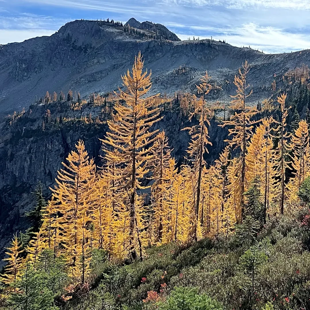 Agriculture secretary says agency is “full-bore ahead” on Forest Service reorganization