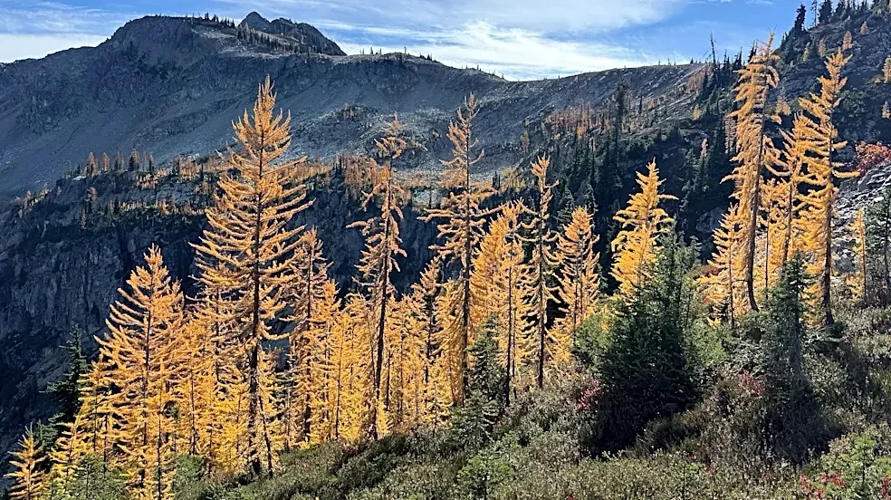 Agriculture secretary says agency is “full-bore ahead” on Forest Service reorganization