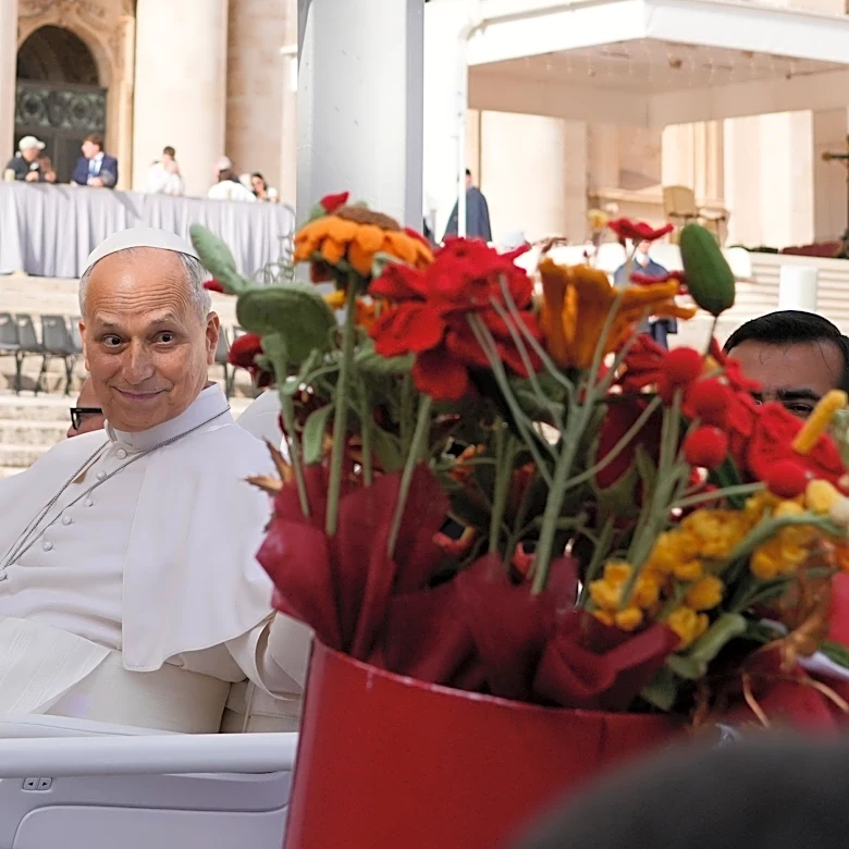 Pope Leo XIV cancels Assisi trip on doctors' advice as he recovers from surgery