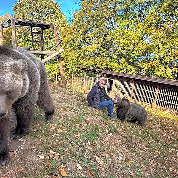 A Bosnian man rescued an abandoned bear cub. Now they're inseparable