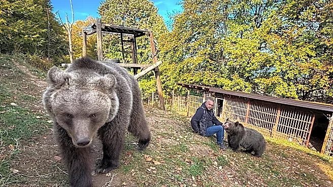 A Bosnian man rescued an abandoned bear cub. Now they're inseparable