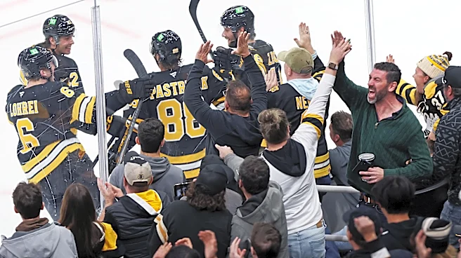 Bruins extend points streak to 8 games with 6-4 win over Sharks