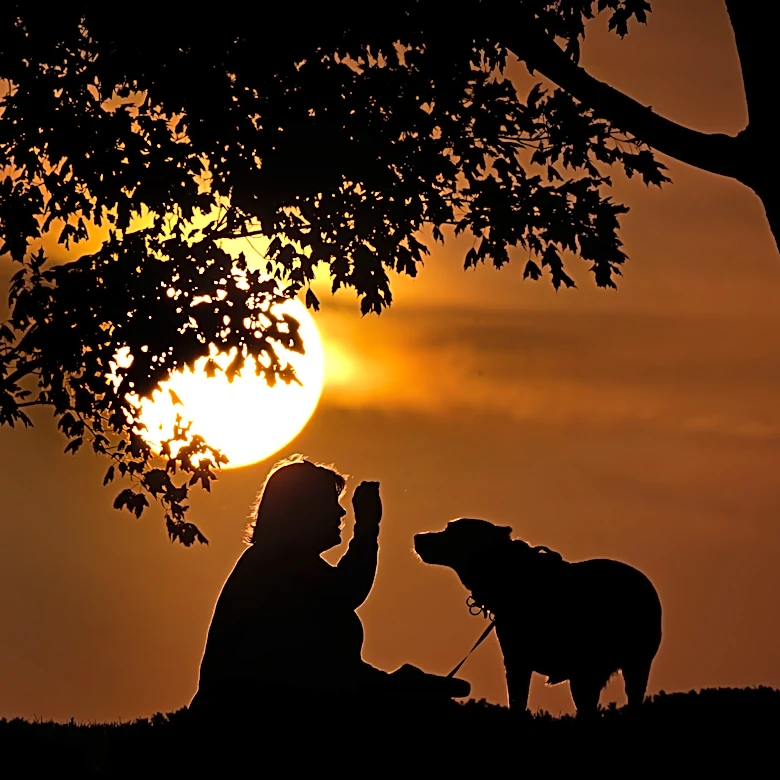 How daylight saving time changes affect you and what you can do about it