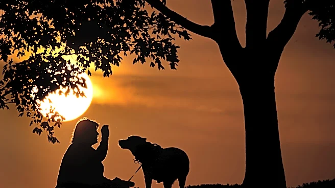 How daylight saving time changes affect you and what you can do about it
