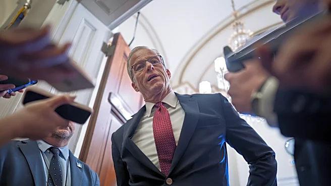 Thune makes final push in red states as he scrambles to save Republicans' Senate majority