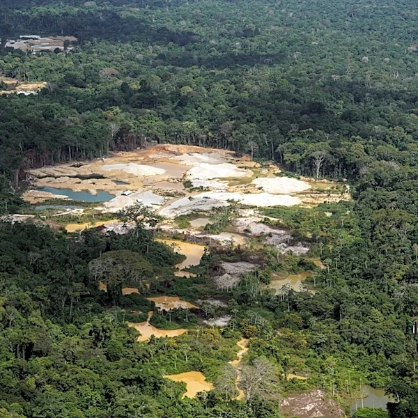 Takeaways from AP's report on how Suriname's Saamaka are fighting to protect their rainforest