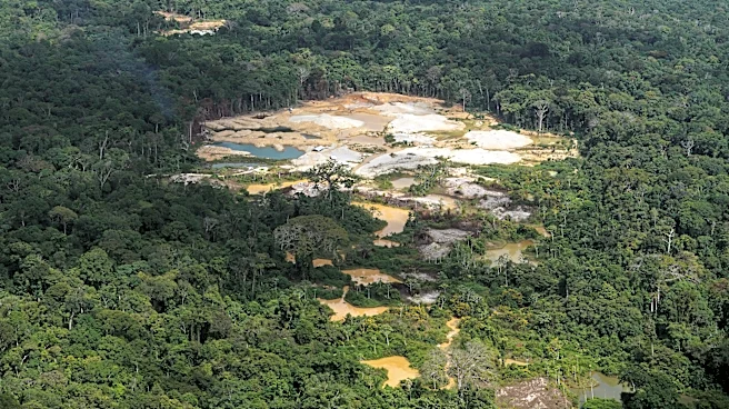 Takeaways from AP's report on how Suriname's Saamaka are fighting to protect their rainforest