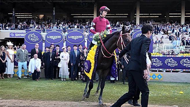 Defending champion Forever Young opens as the 2-1 favorite in a stacked Breeders' Cup Classic