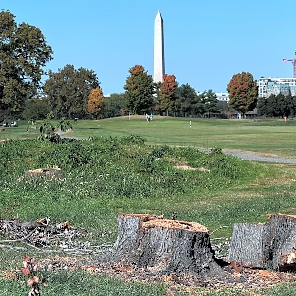 Judge extends court-ordered block on Trump’s renovation plans for public golf course in Washington