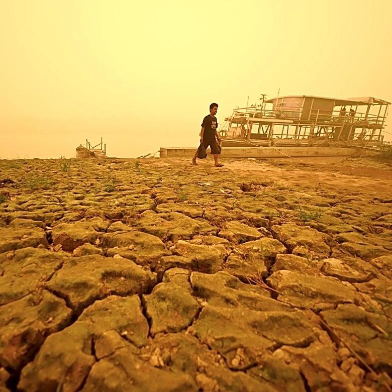 Singapore and Indonesia set up a task force to combat haze from illegal burning