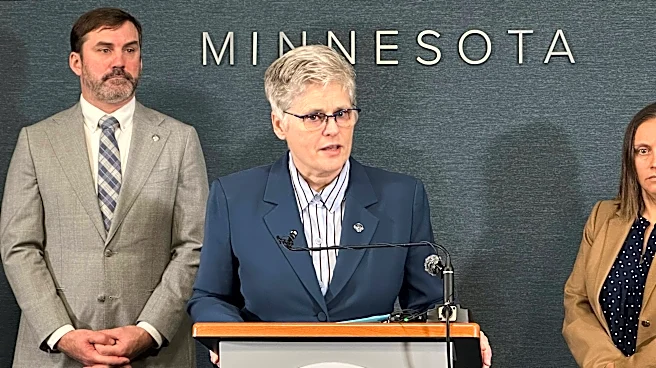 Conservative activists O'Keefe, Higby charged with unlawful voting in Minnesota