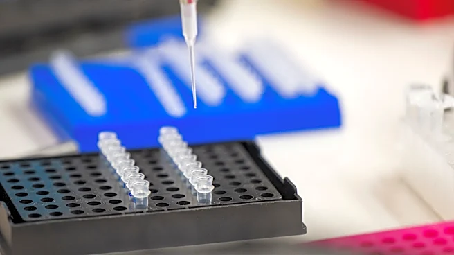 US bans imports from 3 Chinese biotech companies over forced labor allegations