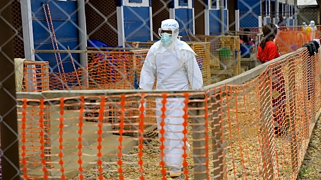 Experts warn of wider spread as Ebola outbreak reaches plateau