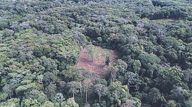 US lawmakers urge Trump administration to oppose Colombia's Amazon aerial spraying plans