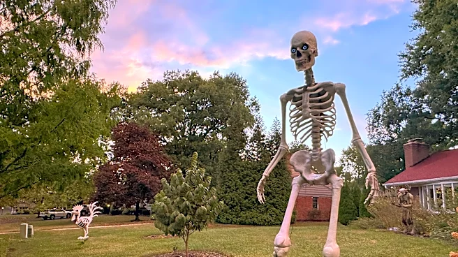 Make no bones about it, the giant skeleton has become an American Halloween fixture