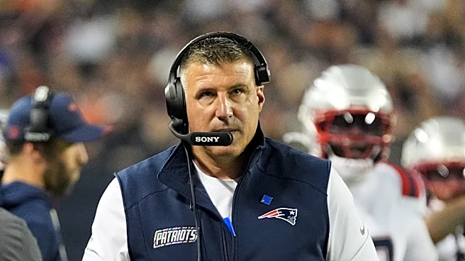 Dolphins look to build momentum against defending AFC champion Patriots as Willis faces former coach