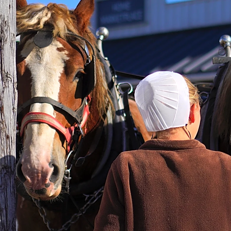As a historic measles outbreak hits Pennsylvania Amish country, more show openness to vaccines