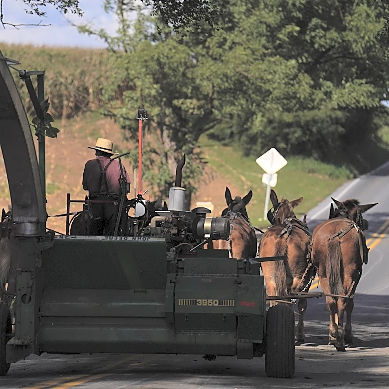 Takeaways from AP's reporting on measles in Pennsylvania's Amish country