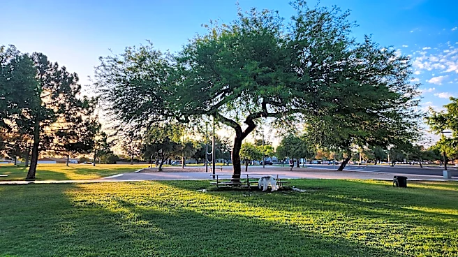 Behind chain-link fence, a Phoenix neighborhood found itself | Opinion