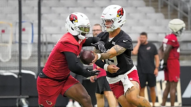 ESPN weighs in on positives, negatives of the Cardinals' young talent