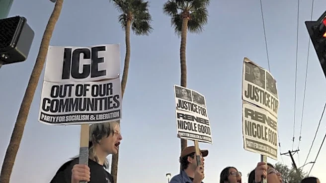 Court testimony gives rare insight into 'lawful but awful' ICE tactics