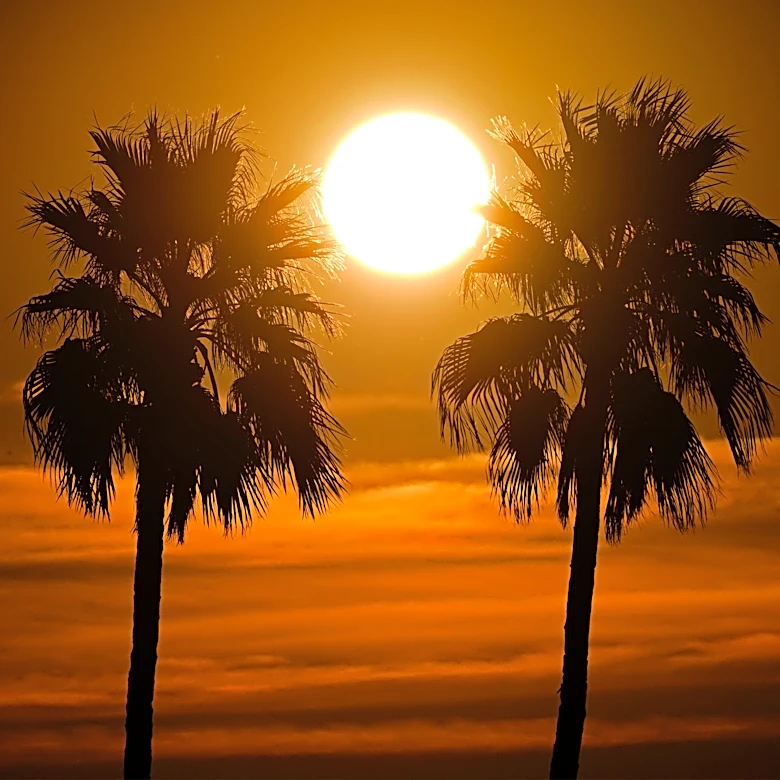 Phoenix heat wave brings record temperatures
