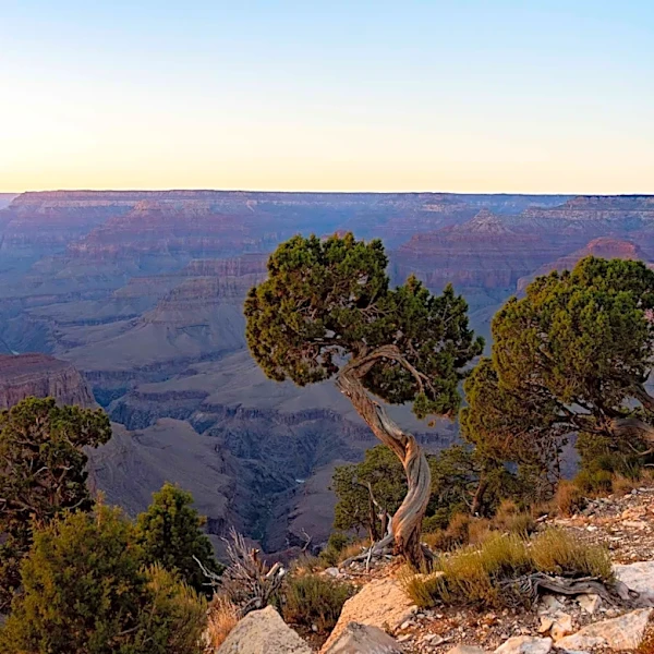 Grand Canyon travel guide to every hotel and restaurant at South Rim