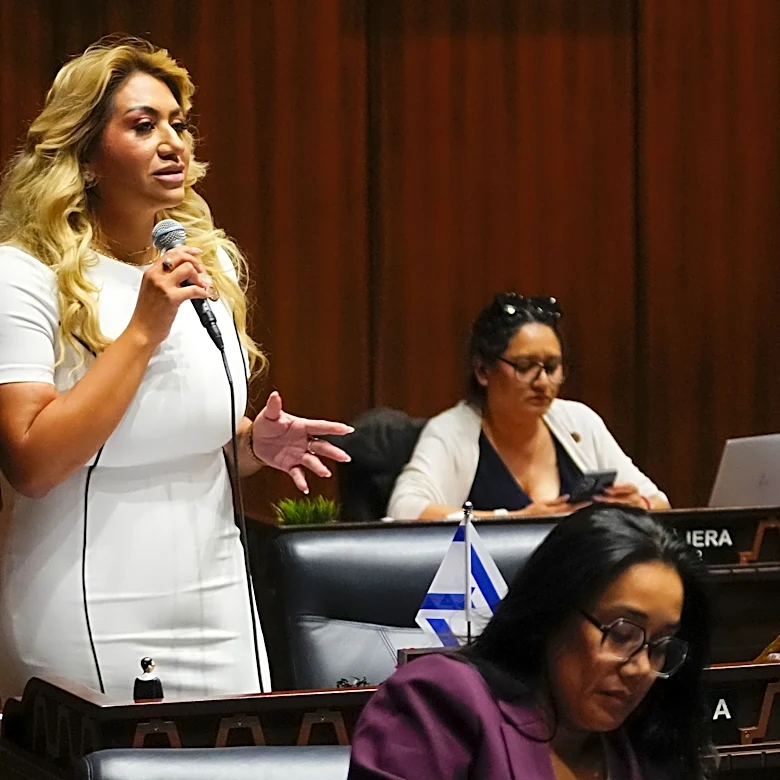 Rep. Alma Hernandez embraces term limits despite Democratic criticism