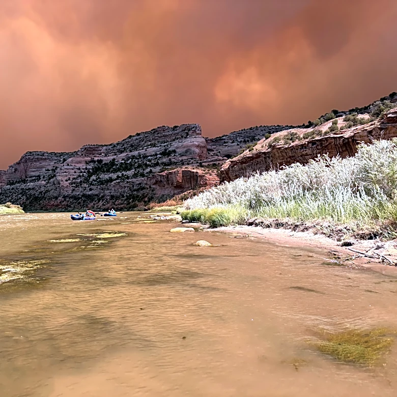 Rescue efforts revealed in wildfire that killed Arizona firefighter